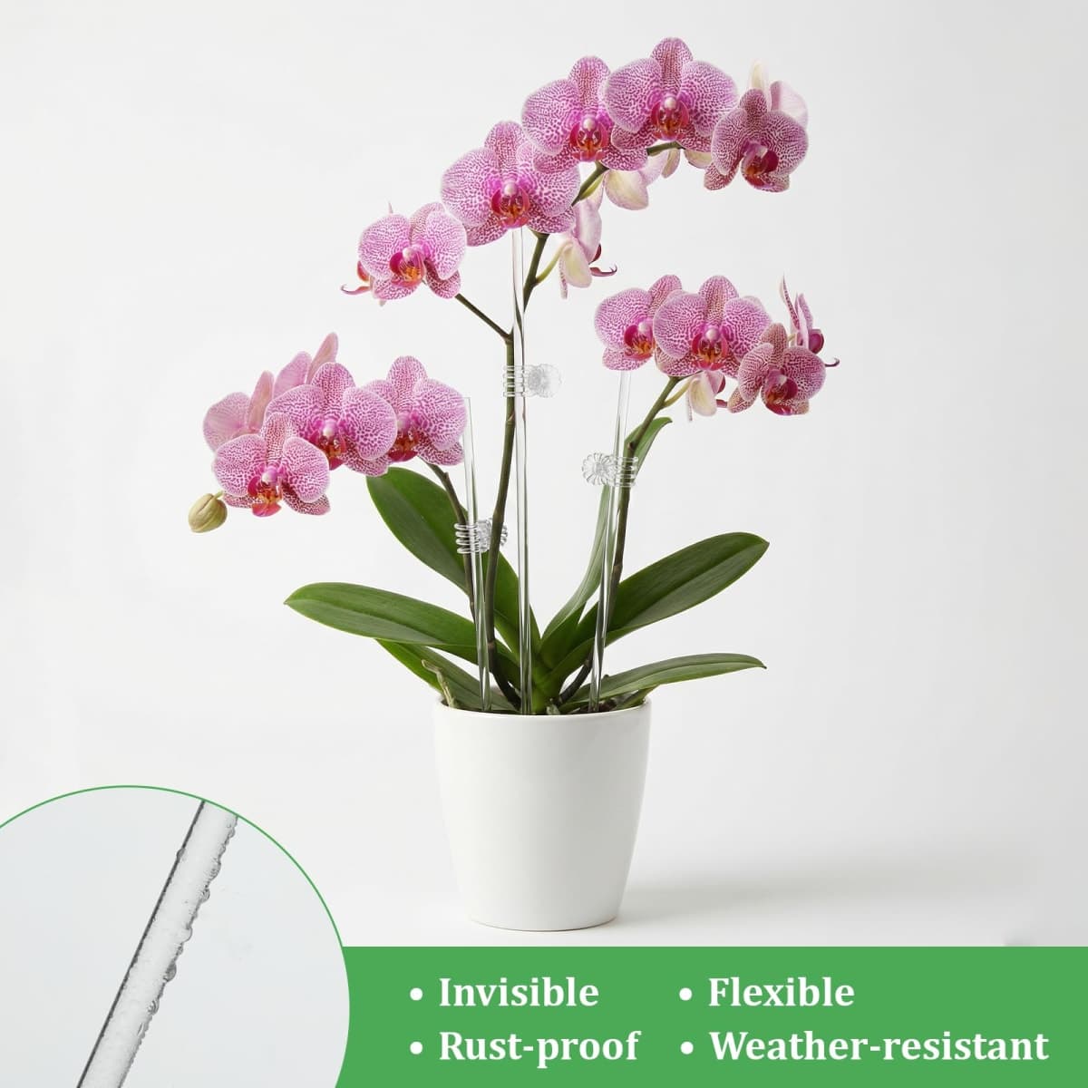 AOZUO 50 Pcs Acrylic Plant Stakes, 11 & 16 Inch Acrylic Plant Stakes with 60 Clips Clear Plants Support Stakes Kit Reusable Garden Orchid Stake for Indoor and Outdoor Potted Plants Vegetables Flowers thumbnail 5