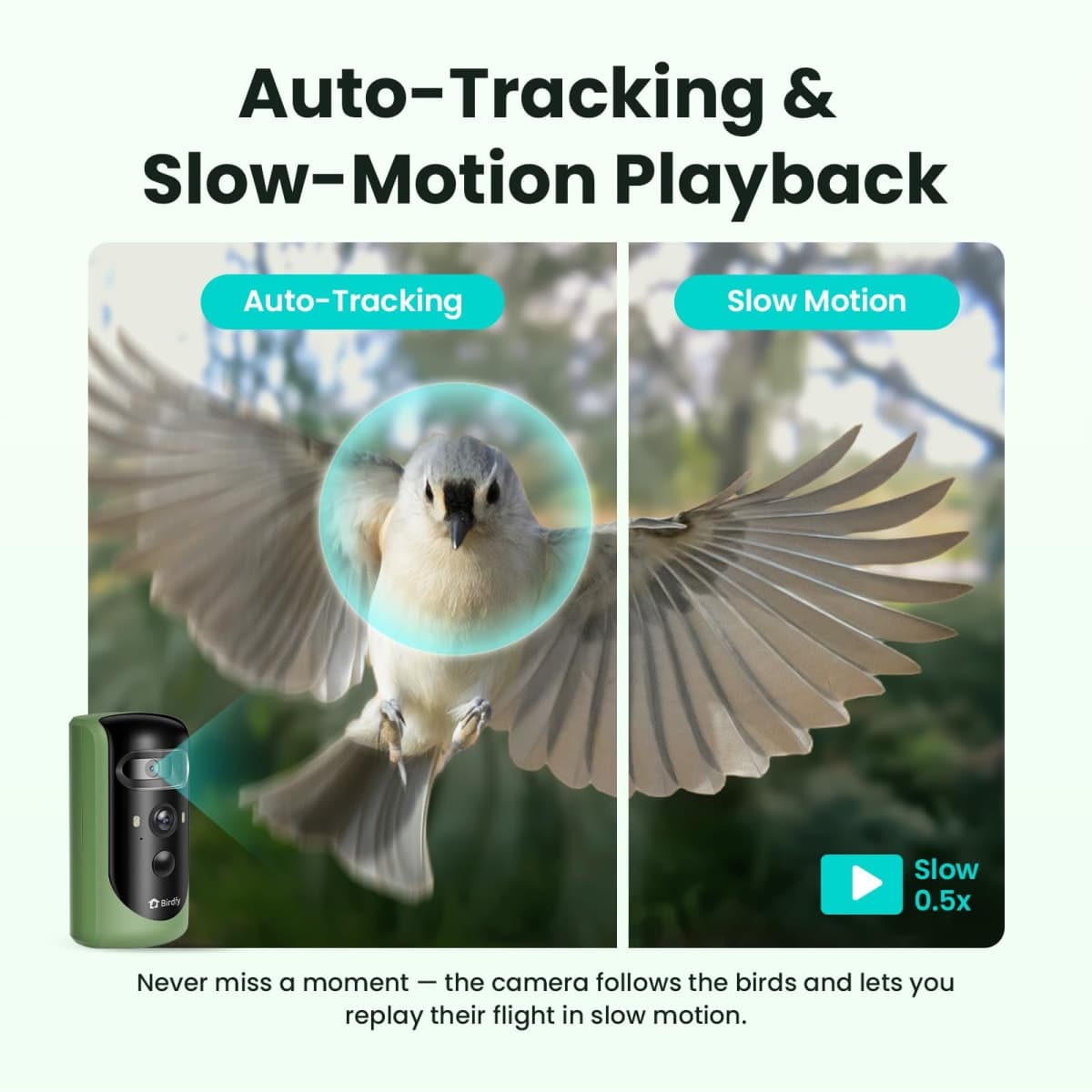 Birdfy 2 Smart Bird Feeder with Camera, AI Identifies 6000+ Bird Species, Dual-Lens 2K+1080P Camera for Live Streaming & Close-Up Photos, Solar-Powered Backyard Birdwatching Gift for Christmas thumbnail 4