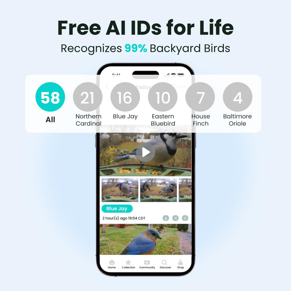 Birdfy 2 Smart Bird Feeder with Camera, AI Identifies 6000+ Bird Species, Dual-Lens 2K+1080P Camera for Live Streaming & Close-Up Photos, Solar-Powered Backyard Birdwatching Gift for Christmas thumbnail 5