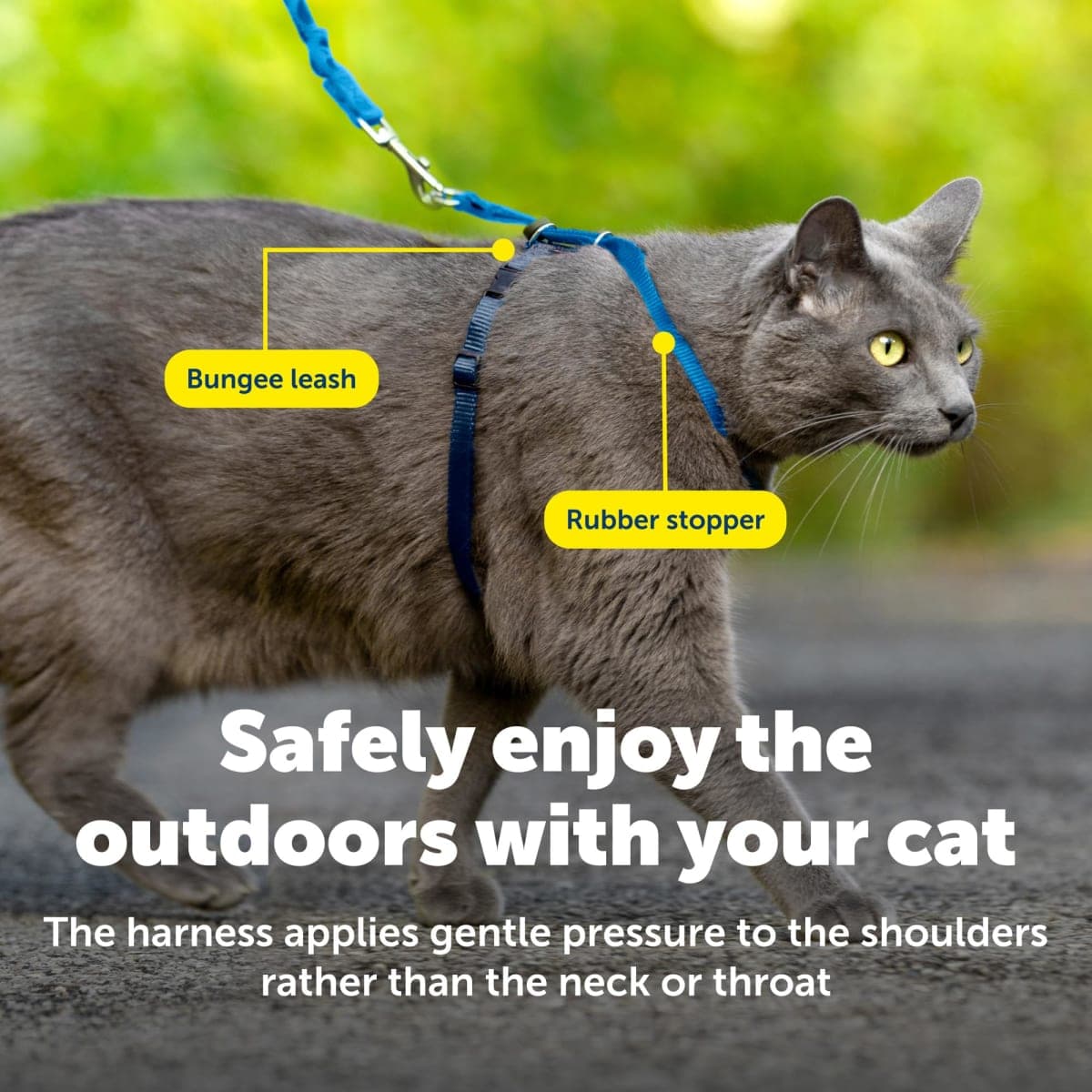 PetSafe Come with me Kitty Harness - Small - Royal Blue/Navy thumbnail 5