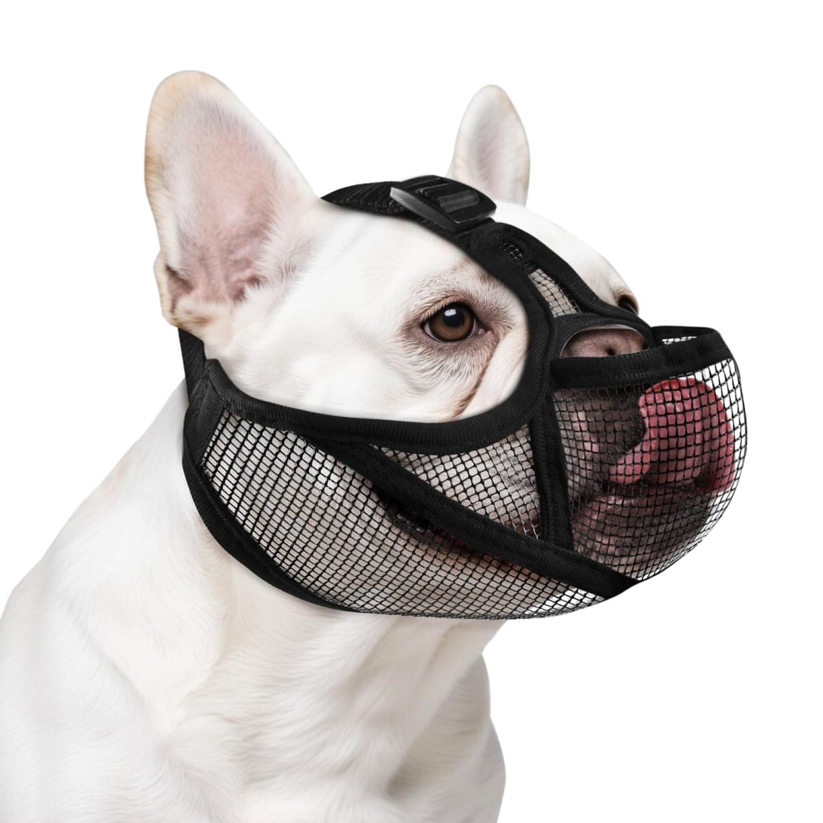 OHCOZZY - New / Open Box | Dog Supplies