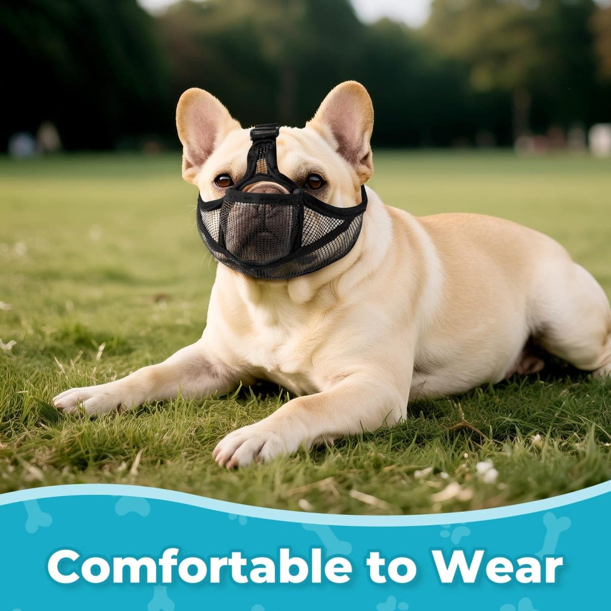 OHCOZZY French Bulldog Muzzle with Soft Mesh, Allows Tongue Extension -Open Eye Hole Short Snout Dog Muzzle for Biting Prevention, Drinking & Feeding(M,Black) thumbnail 5