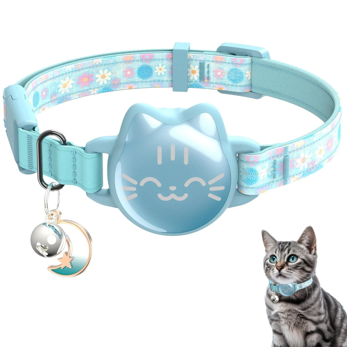 typecase - New / Open Box | Cat Supplies