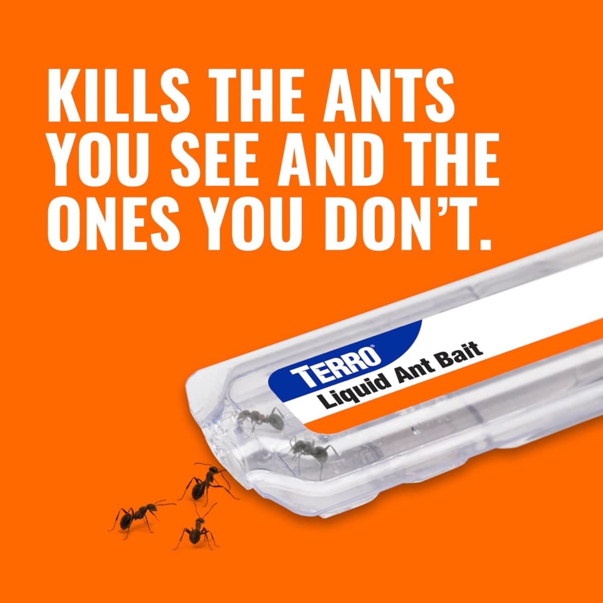 TERRO Liquid Ant Killer Bait Stations, 18-Count, Indoor Ant Traps, T300-3SR thumbnail 4