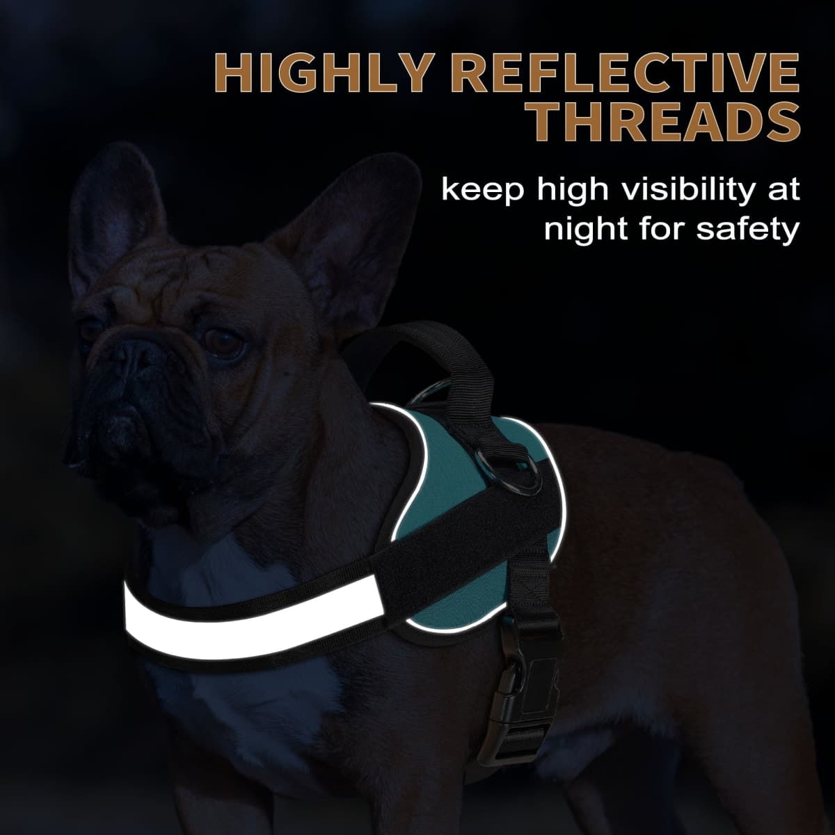 Haapaw Essential Dog Harness, No Pull Pet Vest with 3 Leash Clips, No Choke, Reflective, Adjustable and Padded, for Easy Walking and Training for Medium Dogs(M, Blue) thumbnail 4