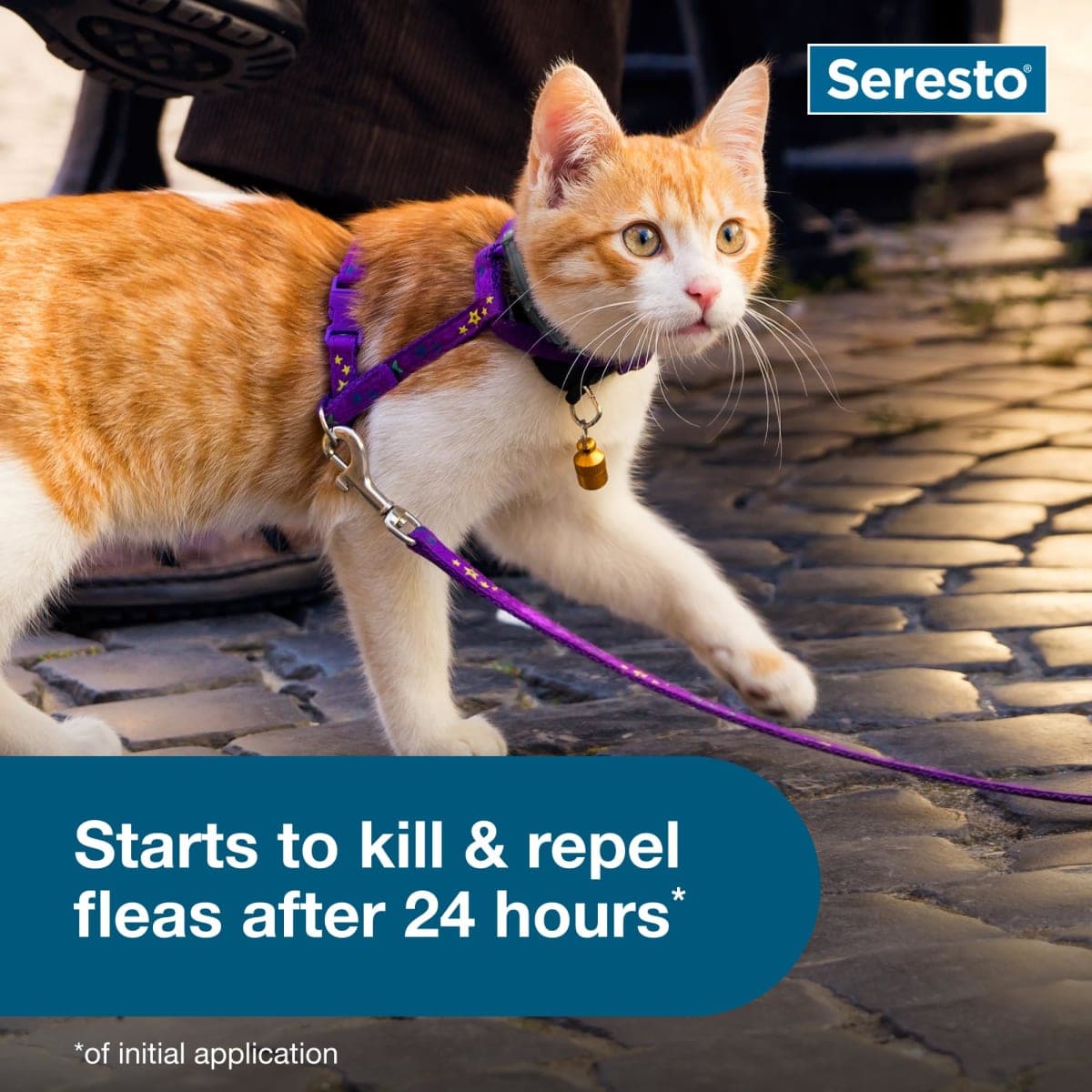 Seresto Cat Vet-Recommended Flea & Tick Treatment & Prevention Collar for Cats, 8 Months Protection | (Pack of 2) thumbnail 3