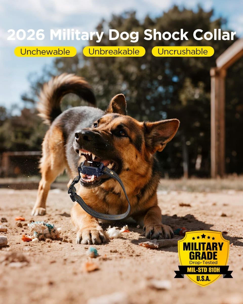BLACKDOG Military Dog Shock Collar 2 Dogs (5-150lbs) - 4200ft Dog Training Collar with Remote, 4 Training Modes, Flashlight&Strobe, 90-Day Battery, IP67 Waterproof Dog E Collar for All Breeds (Blue) thumbnail 2