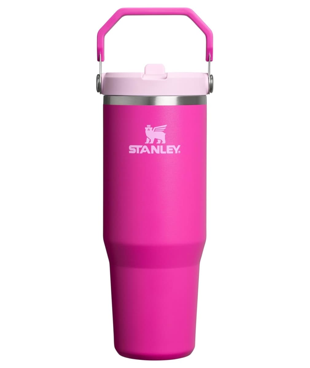 Stanley IceFlow 2.0 Flip Straw Tumbler with Handle 30 oz | Twist On Lid and Flip Up Straw | Leak Resistant Water Bottle | Insulated Stainless Steel | BPA-Free | Violet Blossom — image 1