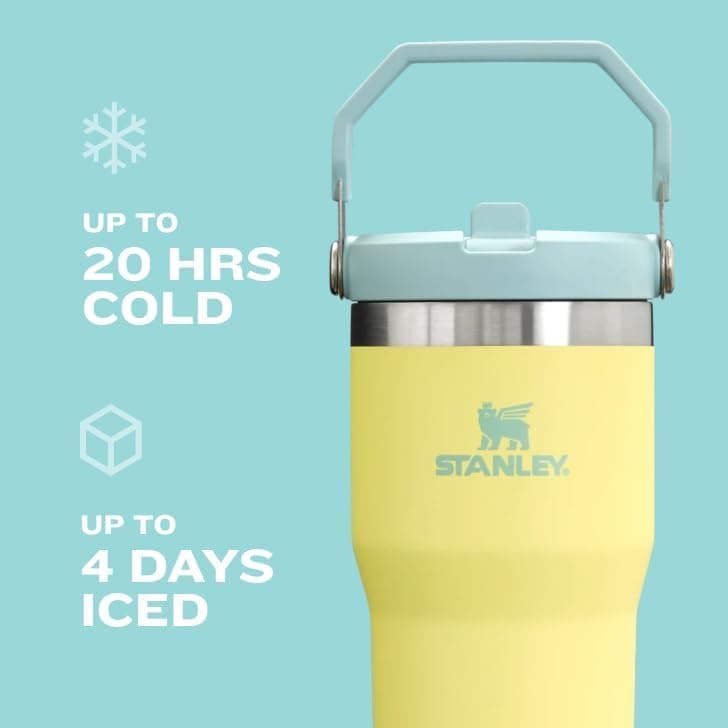 Stanley IceFlow 2.0 Flip Straw Tumbler with Handle 30 oz | Twist On Lid and Flip Up Straw | Leak Resistant Water Bottle | Insulated Stainless Steel | BPA-Free | Violet Blossom thumbnail 3