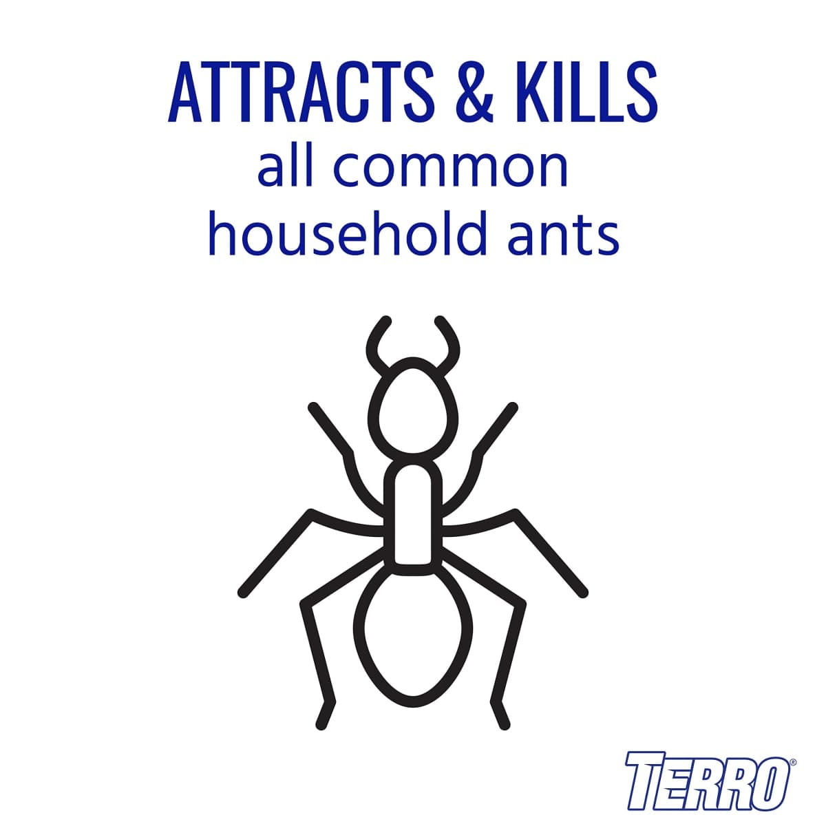 TERRO Liquid Ant Baits - T1813 - Outdoor Ready-to-Use Terro Traps, Kills Household Ants, 8 Bait Stakes thumbnail 2
