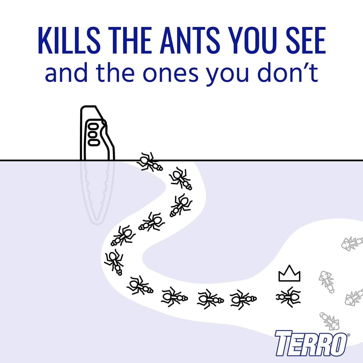 TERRO Liquid Ant Baits - T1813 - Outdoor Ready-to-Use Terro Traps, Kills Household Ants, 8 Bait Stakes thumbnail 3