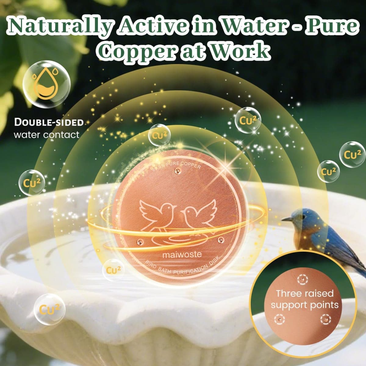 maiwoste Bird Bath Copper Disk, 4 Inch, 99.9% Pure Copper, 1 Pack thumbnail 3