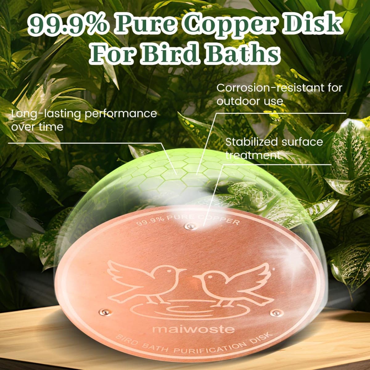 maiwoste Bird Bath Copper Disk, 4 Inch, 99.9% Pure Copper, 1 Pack thumbnail 4