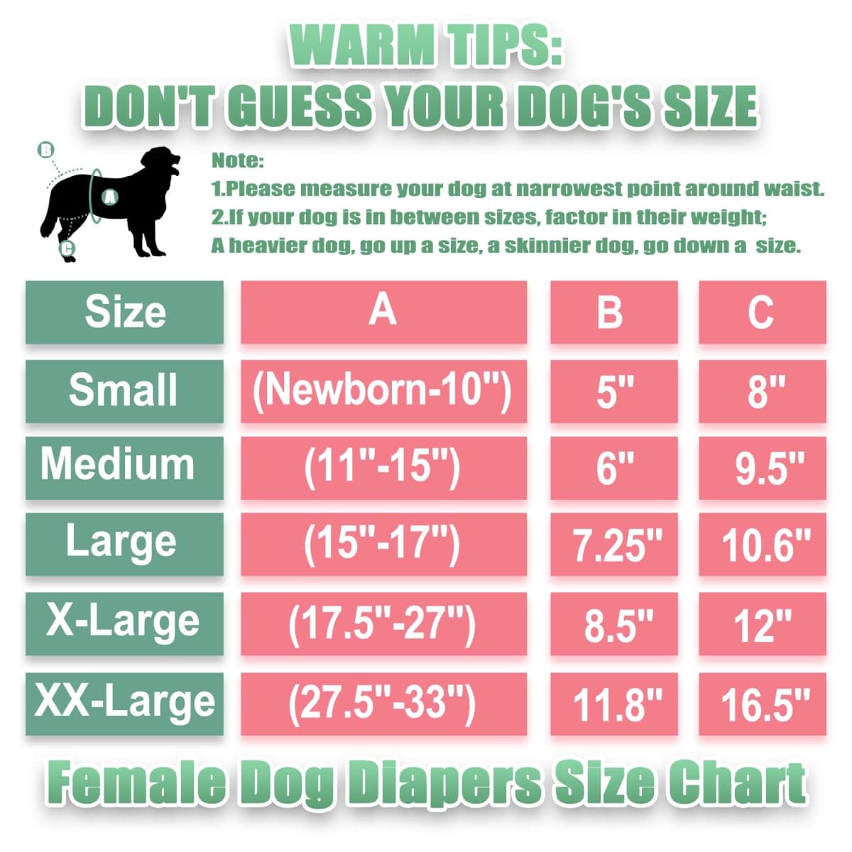 wegreeco Washable Dog Diapers, Ultra Absorbent Dog Diapers Female 5 Pack with Comfort Fit, Breathable Puppy Doggie Diapers for Female Dogs in Heat, Excitable Urination or Incontinence, Small thumbnail 3