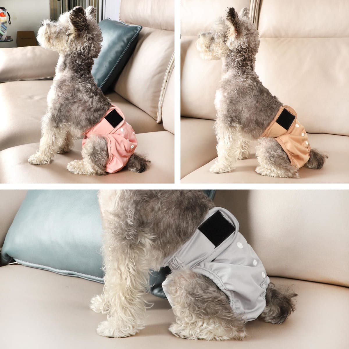 wegreeco Washable Dog Diapers Female Highly Absorbent Reusable Diapers for Doggie in Heat Dog Period for Heat Cycle, 3 Pack (X-Large thumbnail 5