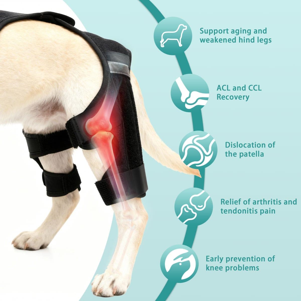 ALYBIT Dog Knee Braces for Torn ACL Hind Leg, Adjustable Dog Leg Braces for Back Leg with 4 Stabilizers for Luxating Patella Relieves Ligament Injury and Joint Pain(S) thumbnail 3