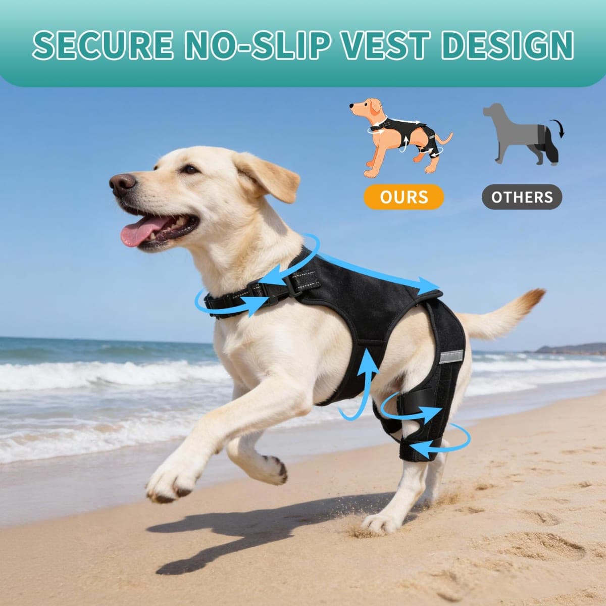 ALYBIT Dog Knee Braces for Torn ACL Hind Leg, Adjustable Dog Leg Braces for Back Leg with 4 Stabilizers for Luxating Patella Relieves Ligament Injury and Joint Pain(S) thumbnail 5