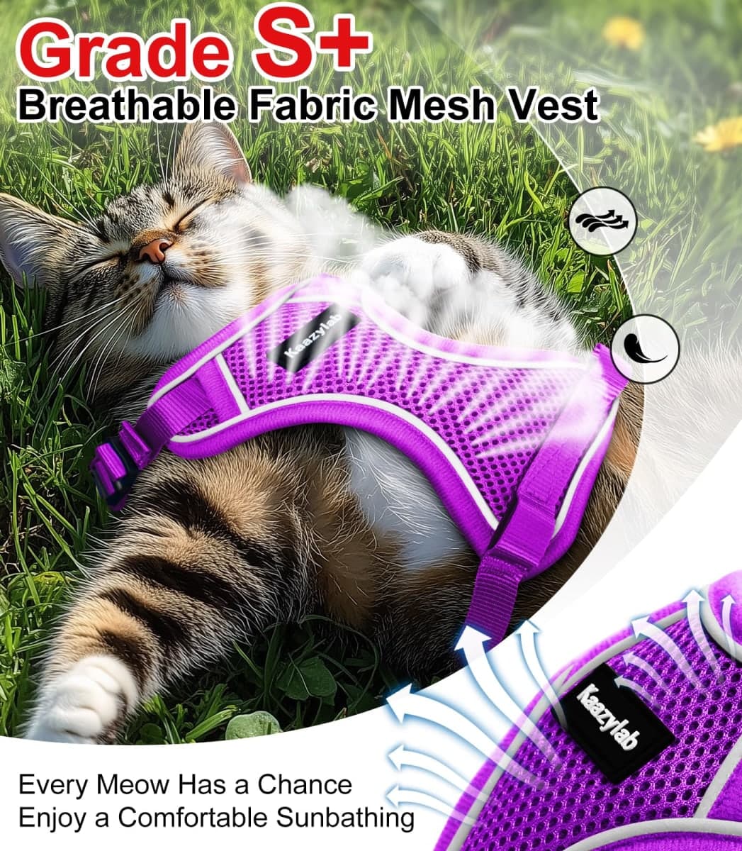 Cat Harness and Leash for Walking Escape Proof Soft Adjustable Cat Leash thumbnail 4