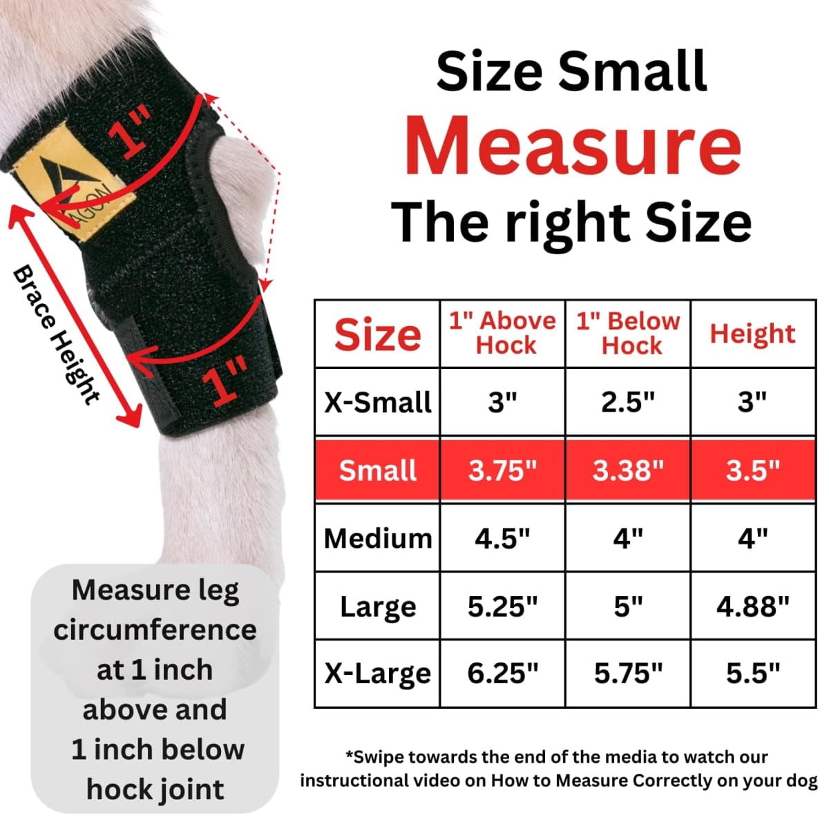 Agon Dog Canine Rear Hock Joint Brace Compression Wrap with Straps Dog for Back Leg Protects Wounds. Heals Prevents Injuries and Sprains Helps with Loss of Stability Caused by Arthritis (Small) thumbnail 2