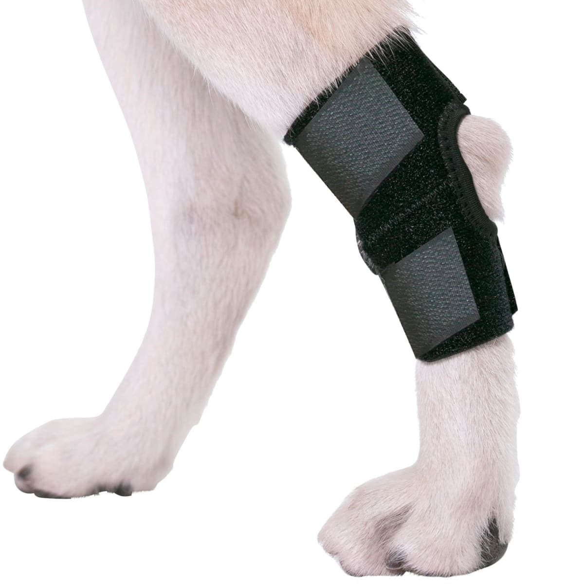 Agon Dog Canine Rear Hock Joint Brace Compression Wrap with Straps Dog for Back Leg Protects Wounds. Heals Prevents Injuries and Sprains Helps with Loss of Stability Caused by Arthritis (Small) thumbnail 3