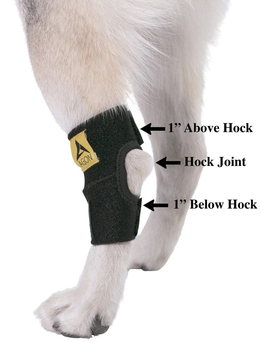 Agon Dog Canine Rear Hock Joint Brace Compression Wrap with Straps Dog for Back Leg Protects Wounds. Heals Prevents Injuries and Sprains Helps with Loss of Stability Caused by Arthritis (Small) thumbnail 4