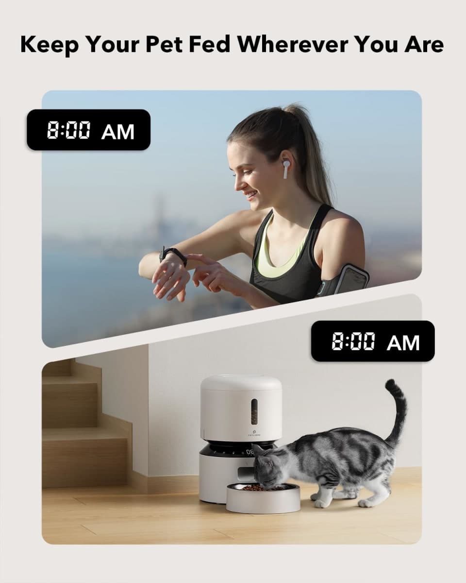PETLIBRO Automatic Cat Feeder, Pet Dry Food Dispenser Triple Preservation with Stainless Steel Bowl & Twist Lock Lid, Up to 50 Portions 6 Meals Per Day, Granary for Small/Medium Pets thumbnail 5