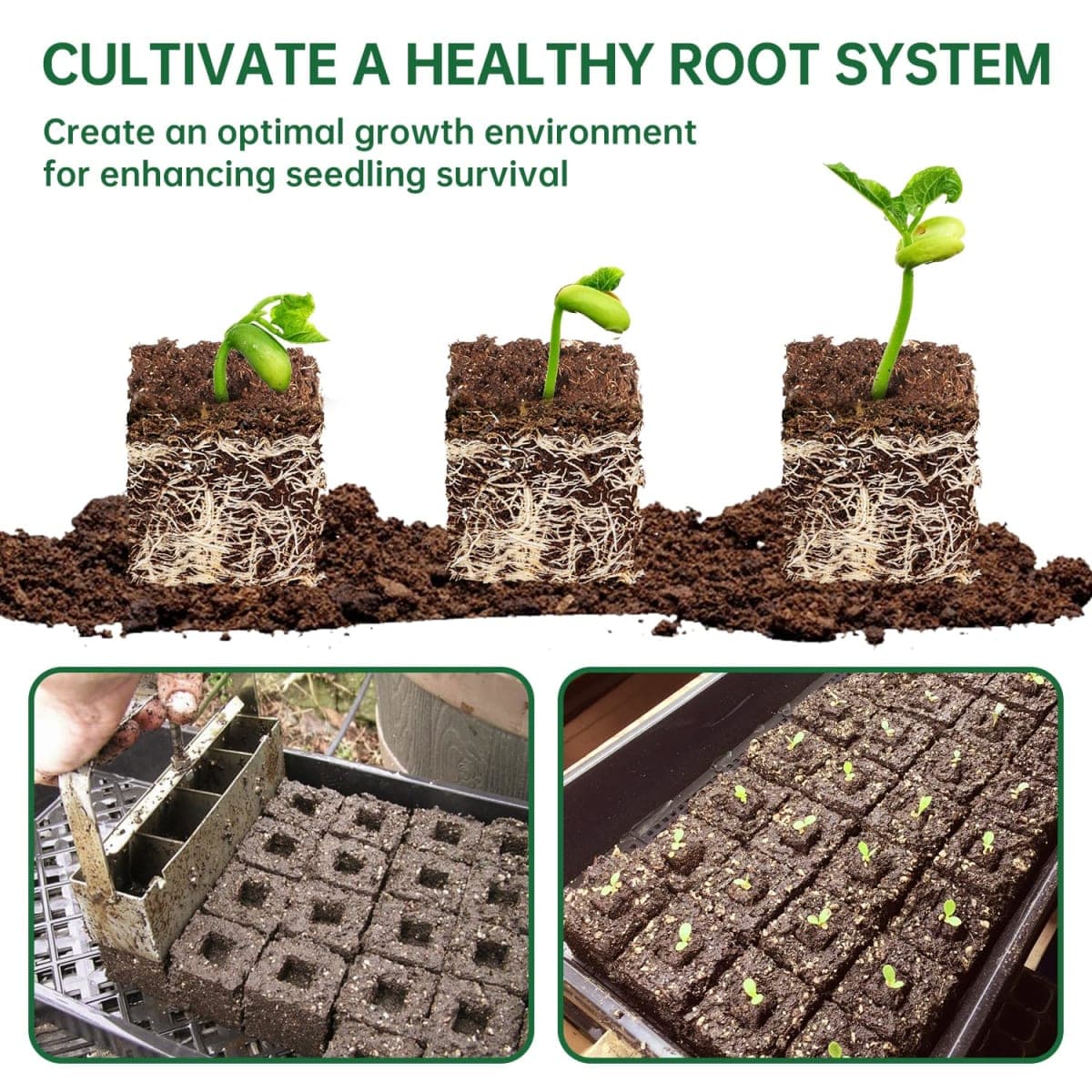 Nanovi Soil Blocker, 2 Inch Soil Block Maker with 3 Sizes Seed Pins & Comfortable Handle 8 Cell Handlheld Soil Blocking Tool for Seed Starting, Grow Seedling, Outdoor Plants, Greenhouses, Garden thumbnail 5