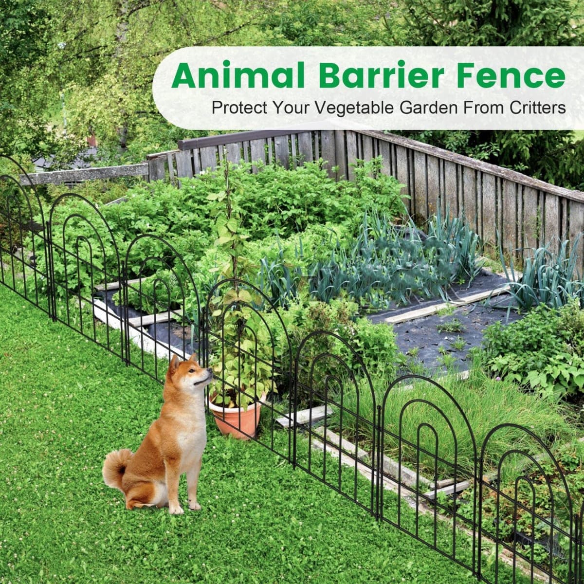 24 Pack Decorative Garden Fence Animal Barrier: 17 in(H) x 24 ft(L) Border Flower Rabbit Garden Fencing Small Arched Rustproof Metal No Dig Fence Landscape Decor for Yard thumbnail 3