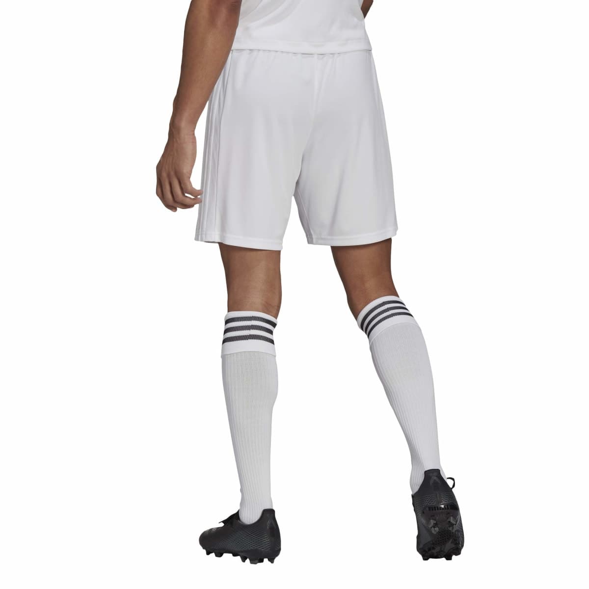 adidas Men's Squadra 21 Shorts, Black/White, X-Small thumbnail 2