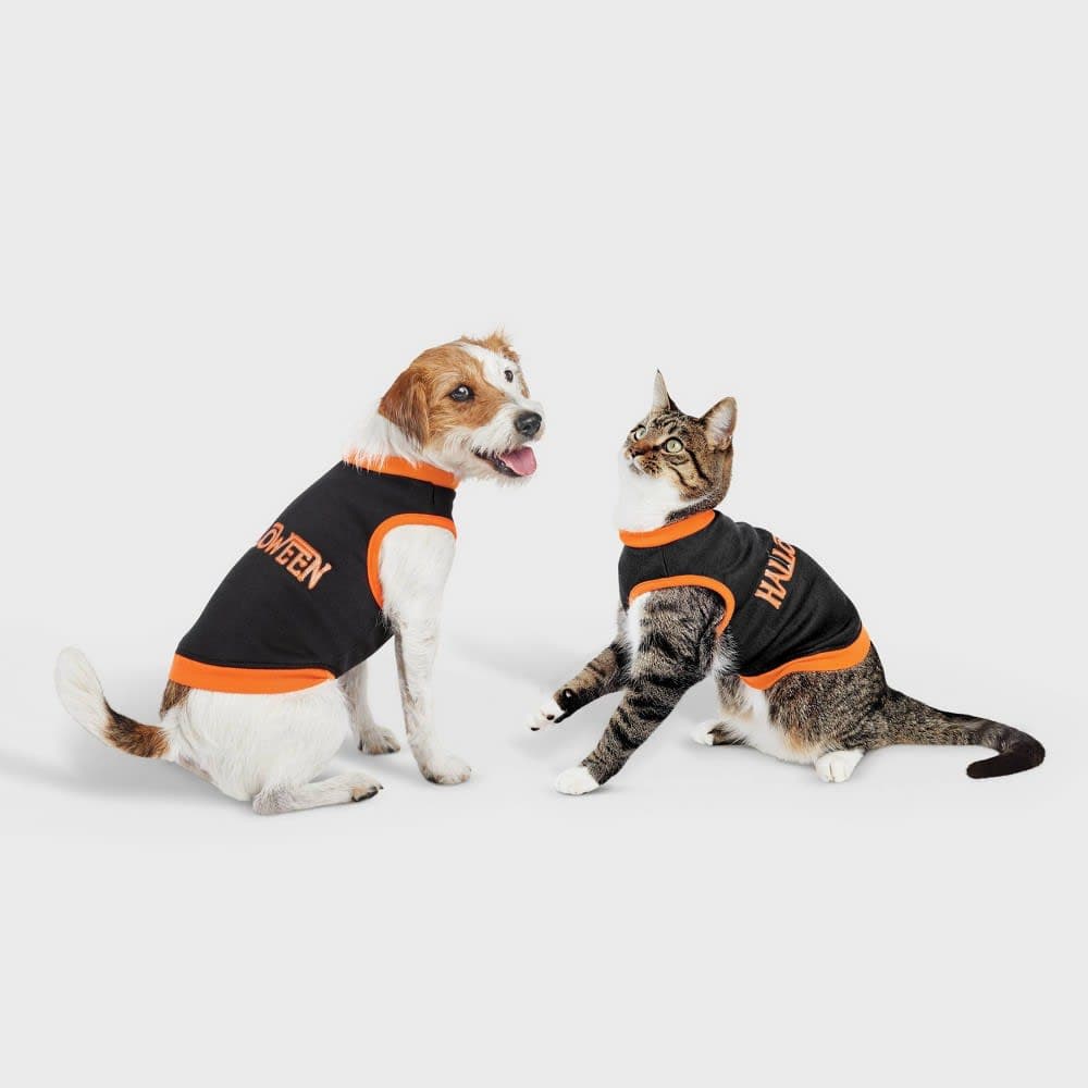 Halloween Dog and Cat Sweatshirt - Hyde and EEK! Boutique™ XS