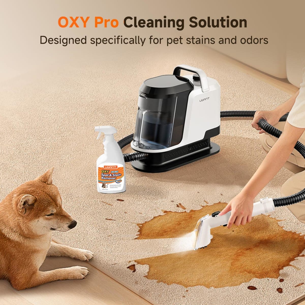 Uwant 18Kpa Upholstery Cleaner Machine with Pet Pro Cleaner&Tools Set of 1 thumbnail 3