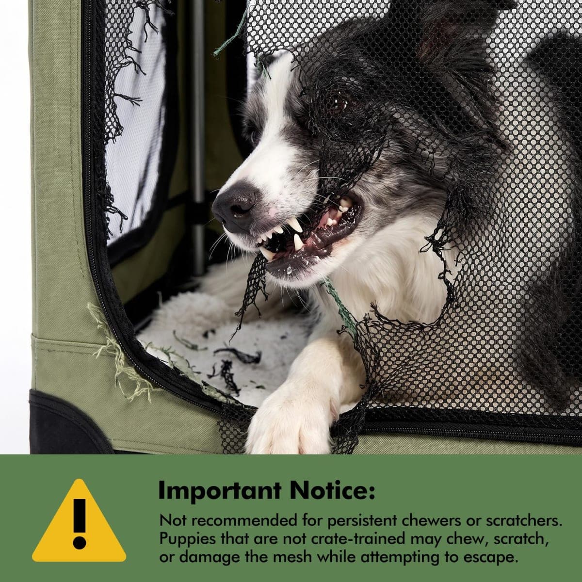 Veraste 30 x 21 x 21 in 4-Door Collapsible Soft-Sided Mesh Dog Crate, Green thumbnail 3