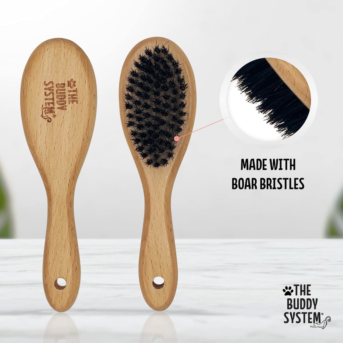 The Buddy System Cat Brush with Boar Bristle and Wooden Handle, Professional Grade Daily Grooming Hairbrush, Reduce Shedding, Soft Hair and Healthy Shine (1 Pack) thumbnail 2