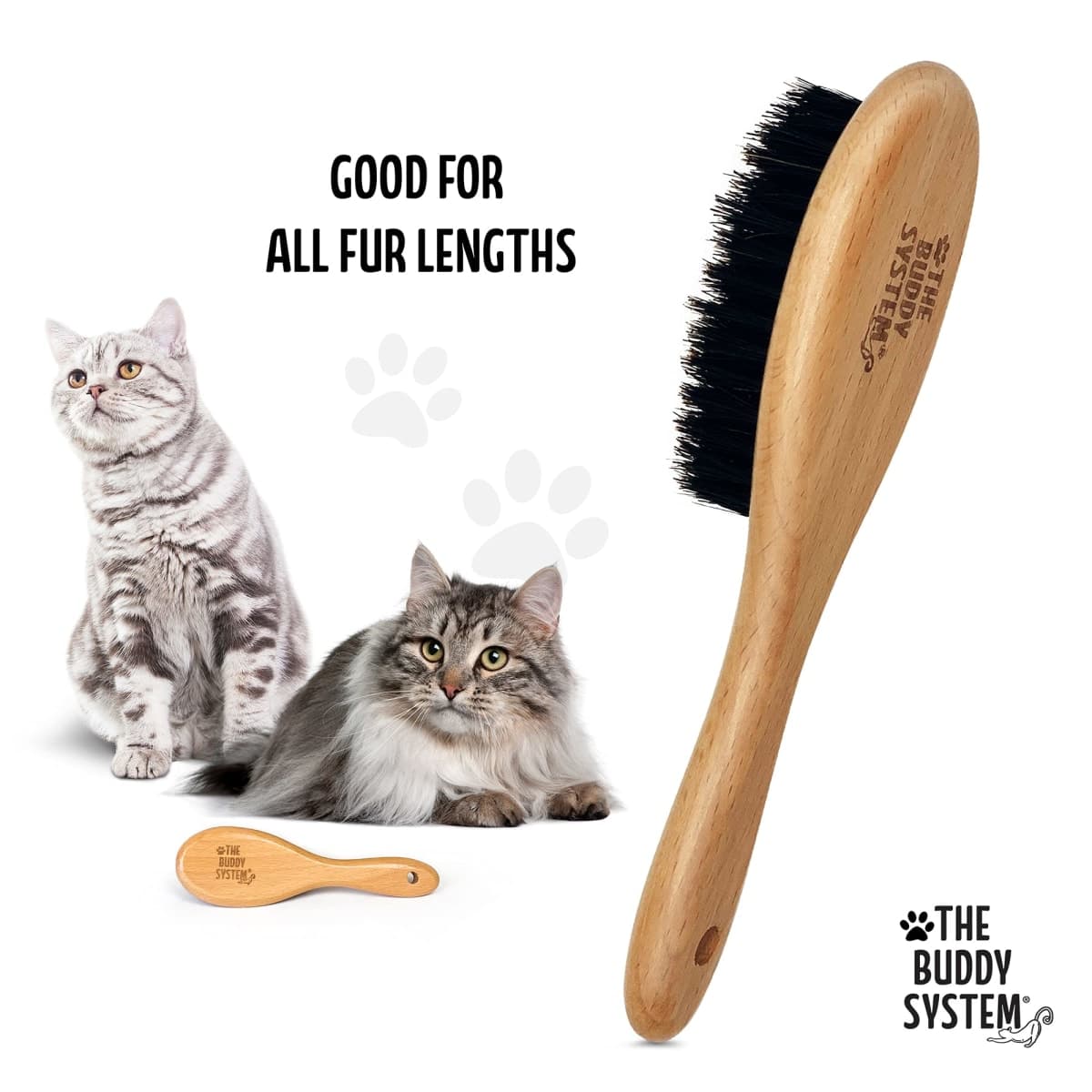 The Buddy System Cat Brush with Boar Bristle and Wooden Handle, Professional Grade Daily Grooming Hairbrush, Reduce Shedding, Soft Hair and Healthy Shine (1 Pack) thumbnail 3