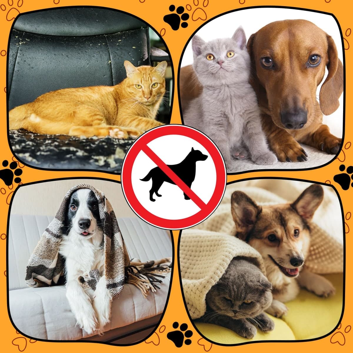 Kigley 2 Pcs Pet Deterrent Mat to Keep Dogs Off Couch, 72" × 56.3", Coffee thumbnail 4