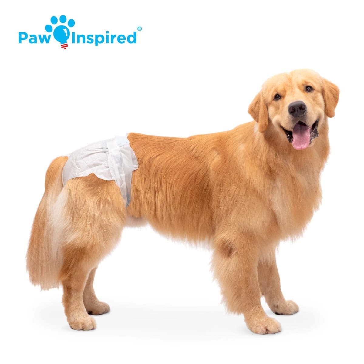 Paw Inspired Disposable Dog Diapers | Female Dog Diapers Ultra Protection | Diapers for Dogs in Heat, Excitable Urination, or Incontinence (X-Large (20 Count)) thumbnail 4