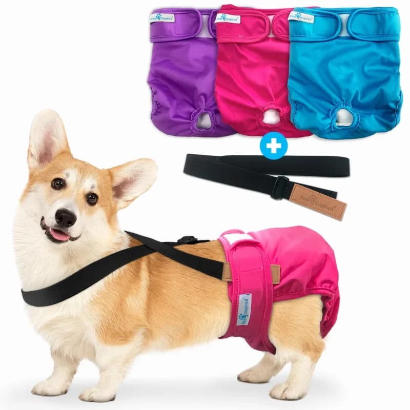 PAW INSPIRED - Sealed | Dog Supplies