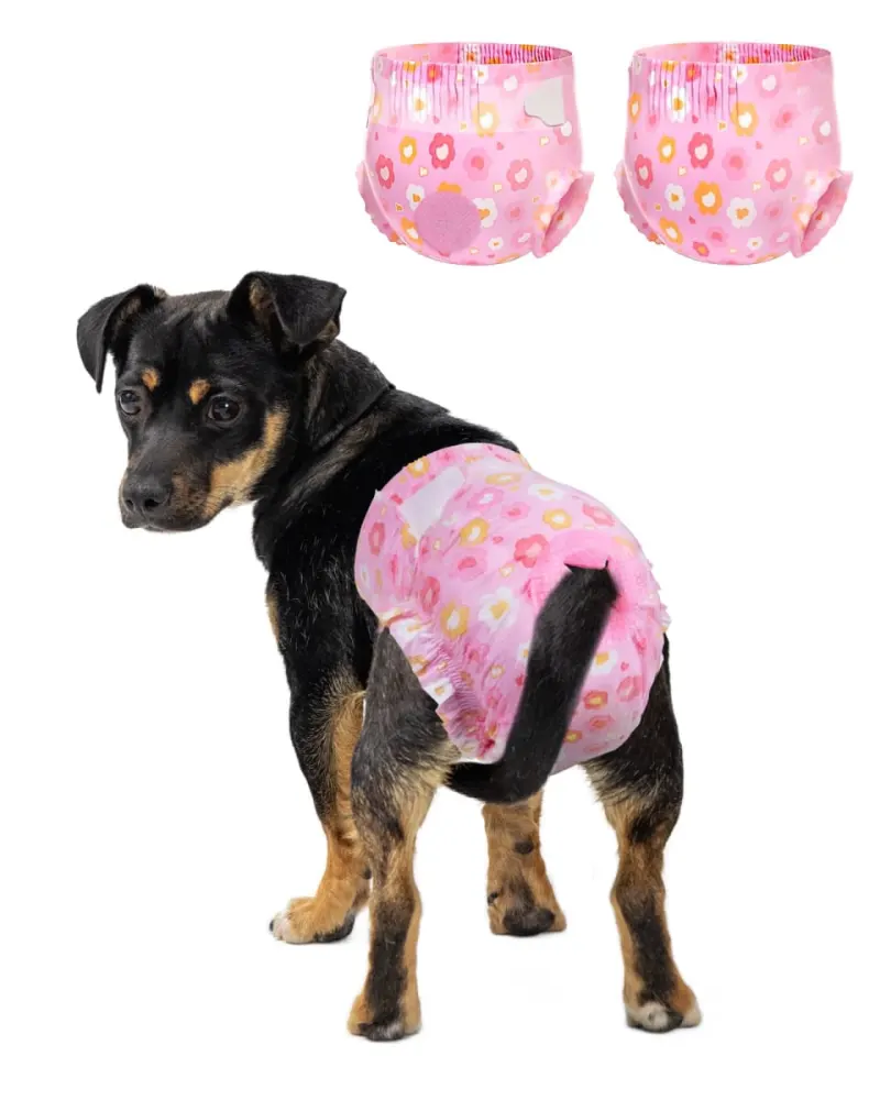 Pet Soft - Sealed | Dog Supplies