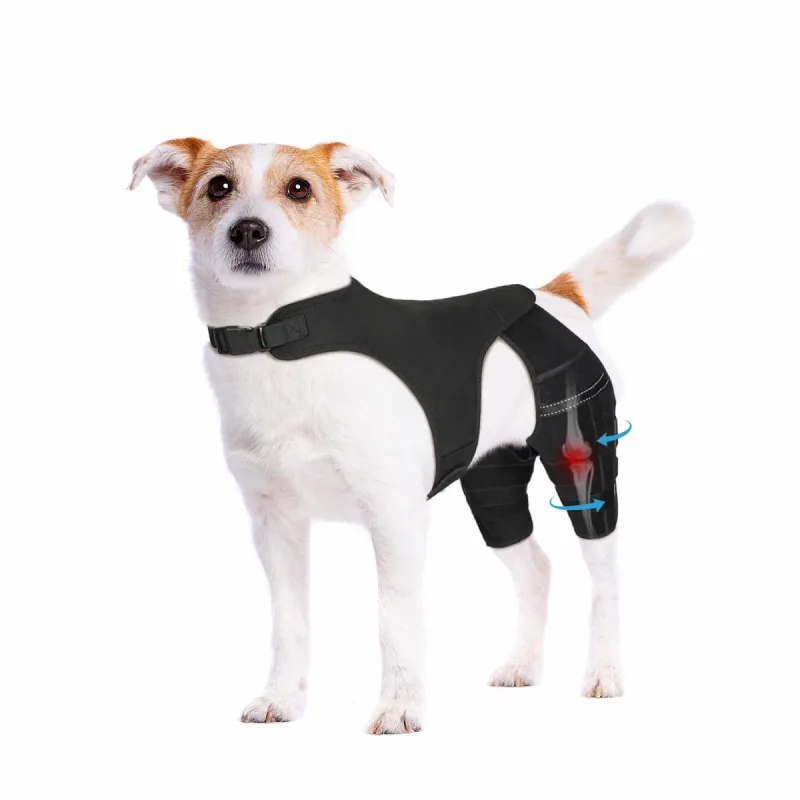 Pawfun Dog Knee Brace for Torn ACL Hind Leg, Dog Leg Braces for Back Leg Support with 4 Metal Stabilizers Helps with Torn CCL, Luxating Patella, Ligament Injuries, Hip Dysplasia,S