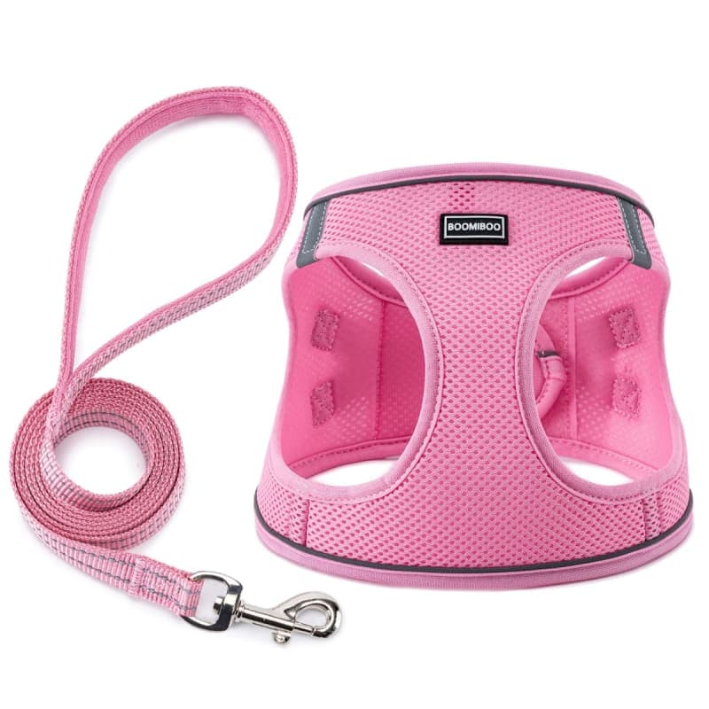 Dog Harness with Leash Set, No Pull Adjustable Reflective Step-in Puppy Pet Vest Harnesses for Small Medium Large Dogs and Cats,Green XXS