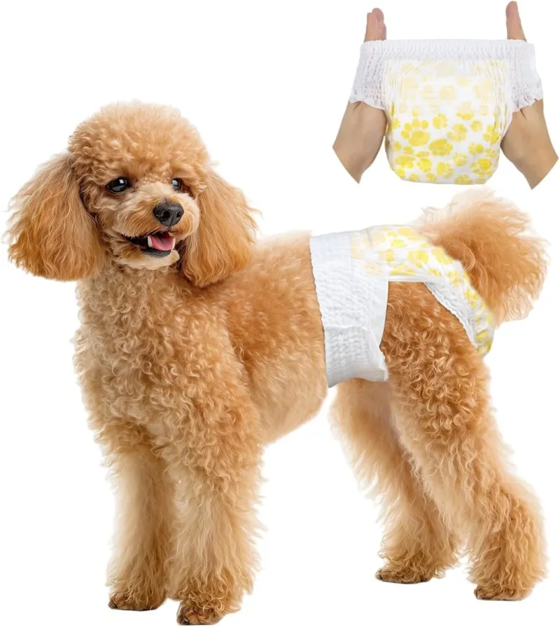 Pet Soft - New / Open Box | Dog Supplies