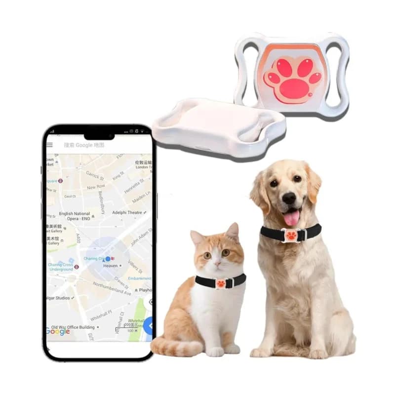 Wnrfg - New / Open Box | Dog Supplies