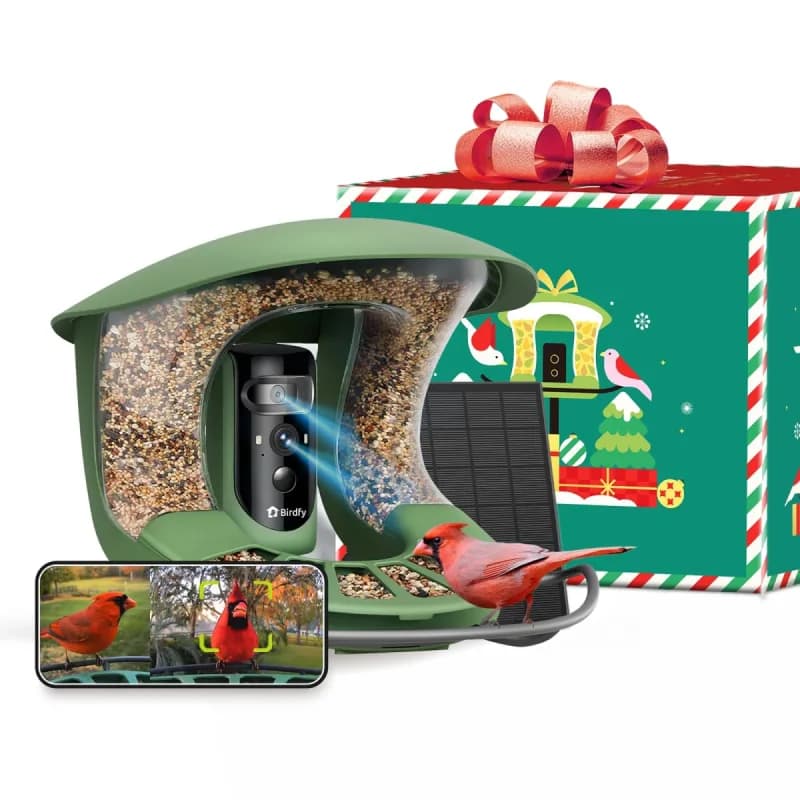 Birdfy - New / Open Box | Bird Supplies