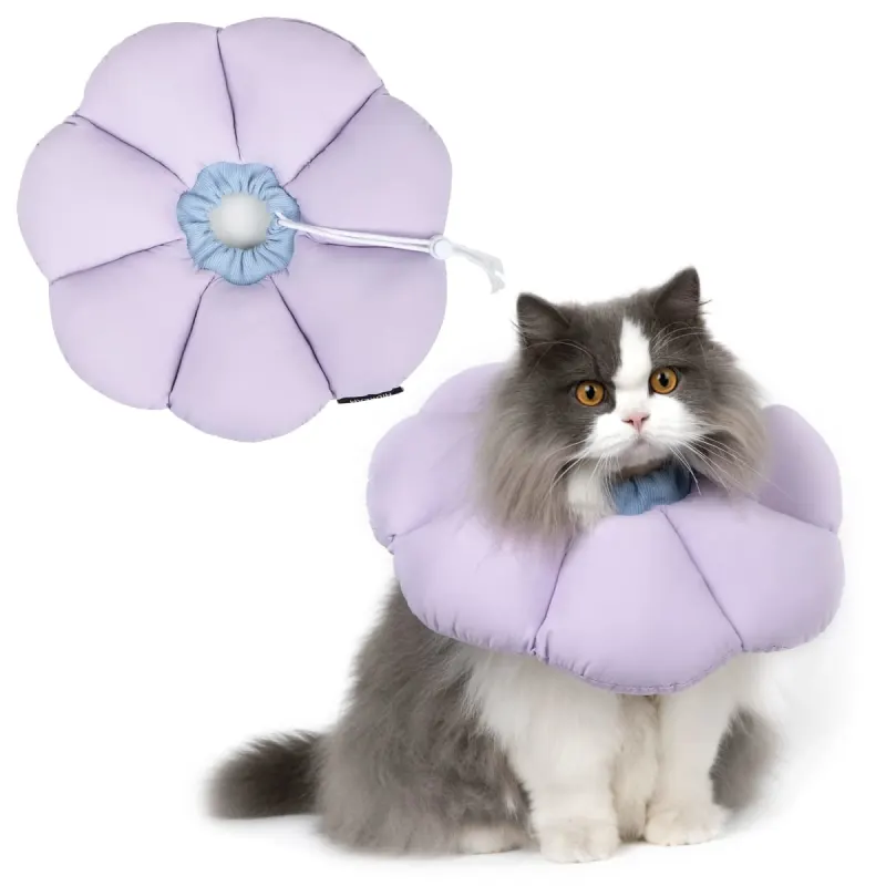H HIDREAM - New / Open Box | Cat Supplies