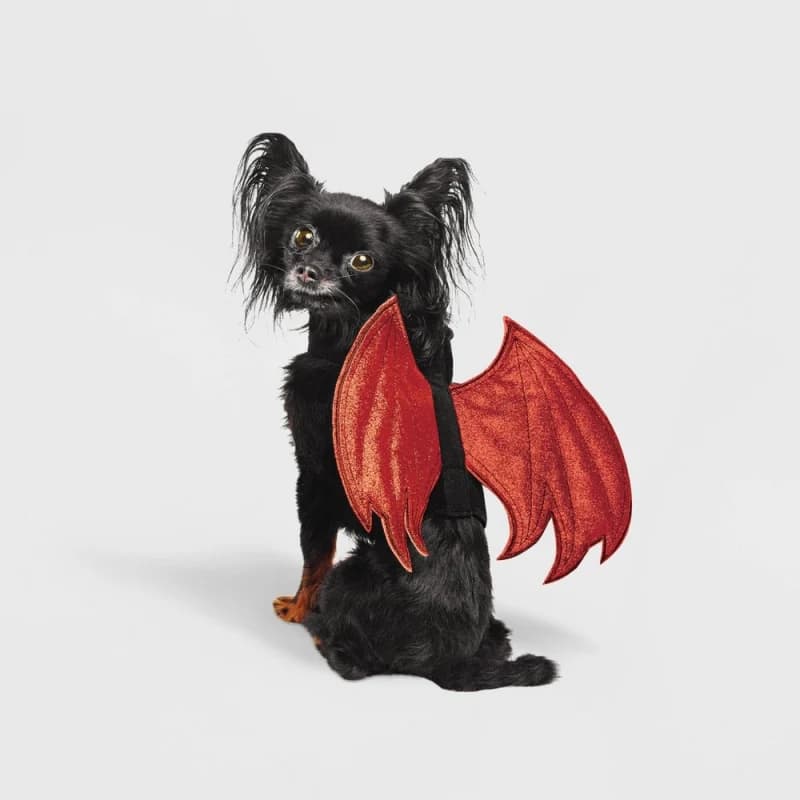 Hyde and EEK! Boutique - New / Open Box | Costumes