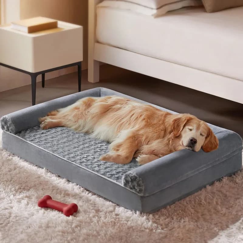BFPETHOME - New / Open Box | Dog Supplies