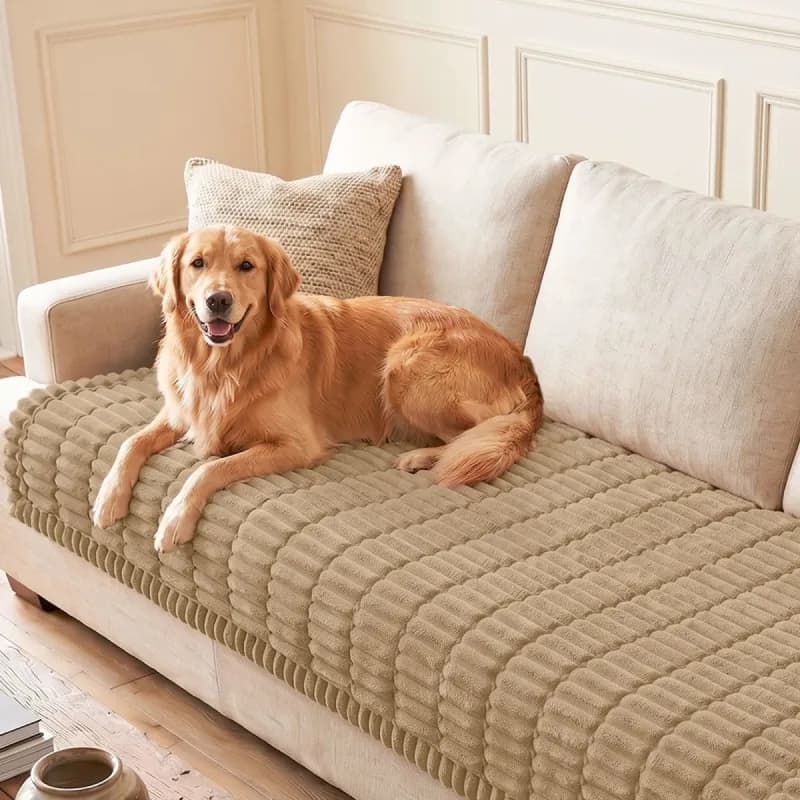 hyha - Like New | Dog Supplies