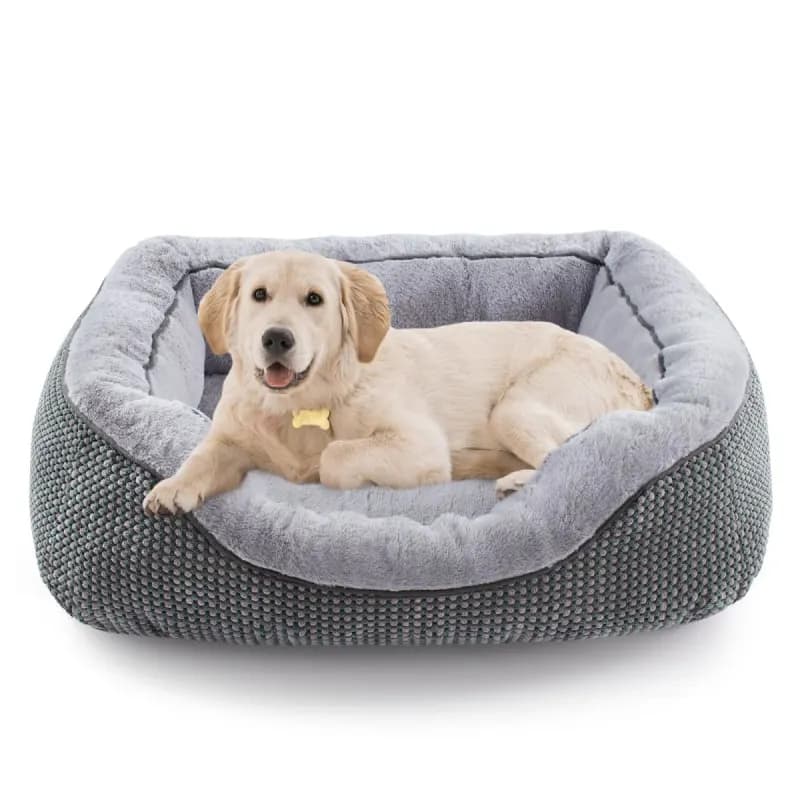 INVENHO - Like New | Dog Supplies