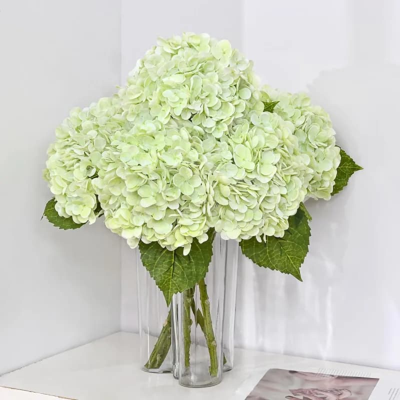 MARTINE MALL - New / Open Box | Decor