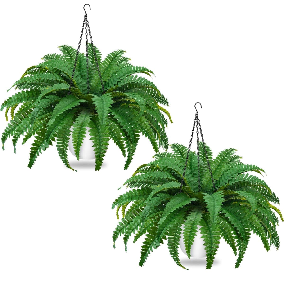 COEWUR - New / Open Box | Decor